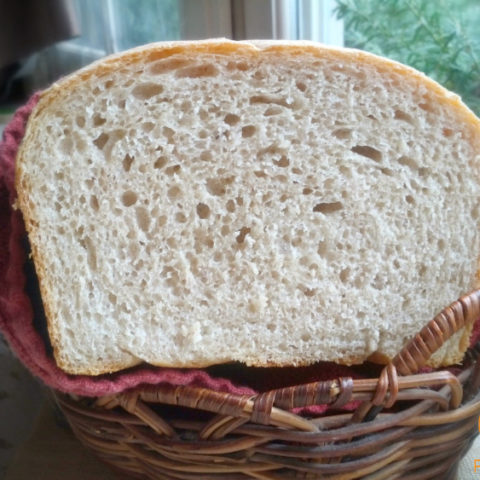 Super easy homemade wheat bread recipe
